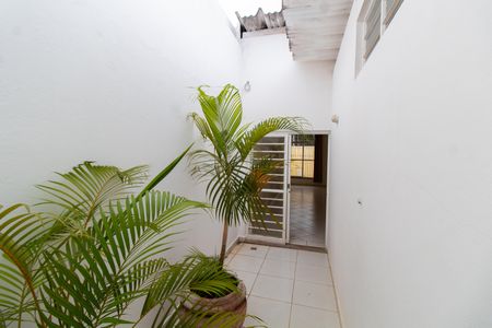 Casa para alugar com 133m², 3 quartos e 3 vagas Casa para alugar com 133m², 3 quartos e 3 vagasÁrea de Luz