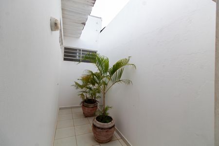 Casa para alugar com 133m², 3 quartos e 3 vagas Casa para alugar com 133m², 3 quartos e 3 vagasÁrea de Luz