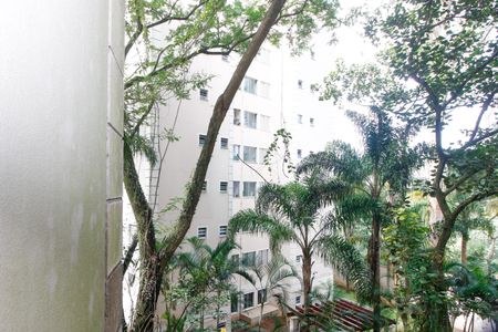 Apartamento à venda com 69m², 2 quartos e 1 vagaVista da Suíte