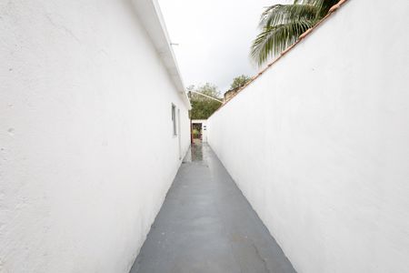 Casa para alugar com 60m², 2 quartos e sem vagaQuintal