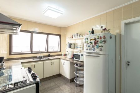 Apartamento à venda com 216m², 4 quartos e 3 vagasCozinha