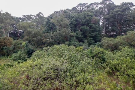 Apartamento à venda com 85m², 2 quartos e 1 vagaVista Varanda da Sala