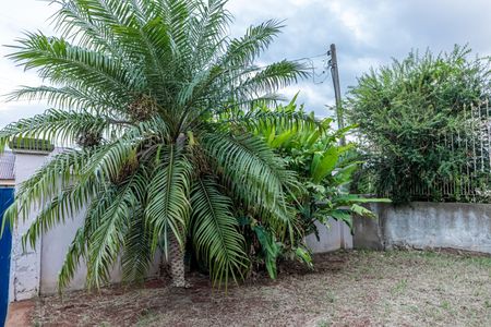 Casa à venda com 130m², 3 quartos e 5 vagasQuintal