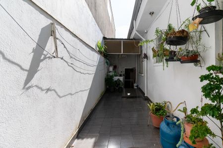 Casa à venda com 300m², 3 quartos e 3 vagascasa 2 / Quintal