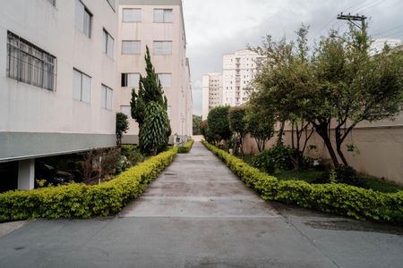 Apartamento à venda com 60m², 2 quartos e 1 vagaÁrea comum