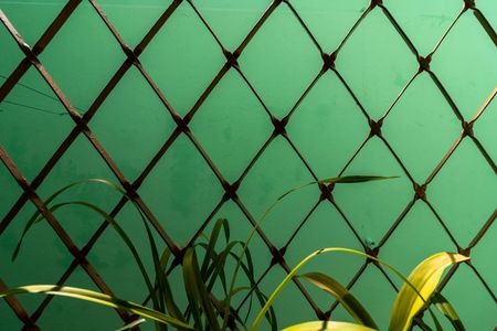 Casa à venda com 143m², 3 quartos e 2 vagasSala de Jantar - Vista