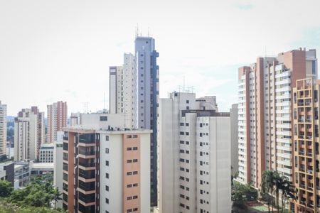 Apartamento à venda com 367m², 4 quartos e 4 vagas Apartamento à venda com 367m², 4 quartos e 4 vagasVista da Varanda da Suite Master
