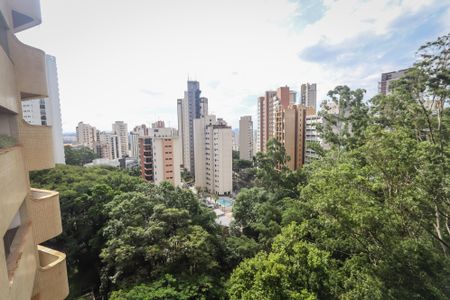 Apartamento à venda com 367m², 4 quartos e 4 vagas Apartamento à venda com 367m², 4 quartos e 4 vagasVista da Varanda