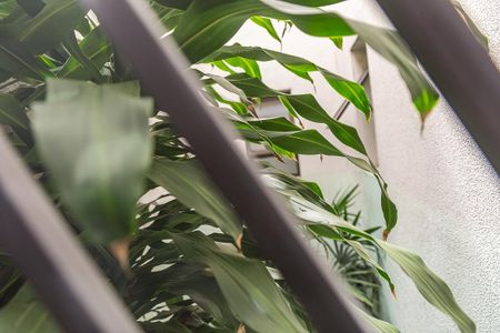 Casa à venda com 129m², 3 quartos e 2 vagasVista do Quarto 2