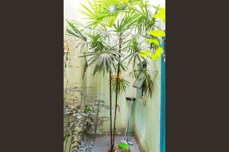 Casa à venda com 129m², 3 quartos e 2 vagasSala de Jantar - Jardim de Inverno