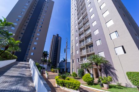 Apartamento à venda com 50m², 2 quartos e 1 vagaÁrea comum