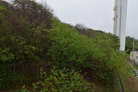 Apartamento à venda com 45m², 2 quartos e 1 vagaVista do Quarto 2