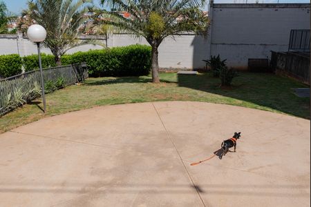 Apartamento para alugar com 60m², 3 quartos e 2 vagas Apartamento para alugar com 60m², 3 quartos e 2 vagasEspaço Pet