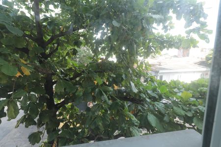 Apartamento para alugar com 48m², 2 quartos e sem vagaVista do Quarto 2