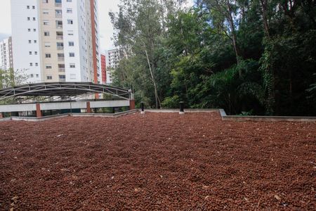 Apartamento à venda com 96m², 3 quartos e 2 vagasVista do Quarto 1