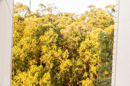 Apartamento à venda com 127m², 3 quartos e 2 vagasVista da Suíte