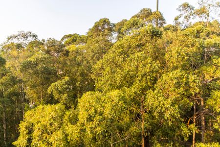 Apartamento à venda com 127m², 3 quartos e 2 vagasVista da Suíte