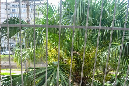 Apartamento à venda com 62m², 2 quartos e 1 vagaVista