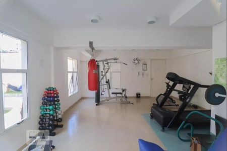 Apartamento para alugar com 64m², 2 quartos e 1 vaga Apartamento para alugar com 64m², 2 quartos e 1 vagaÁrea comum - Academia