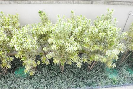 Apartamento à venda com 44m², 2 quartos e 1 vagaVista da Sala e Sala de Jantar