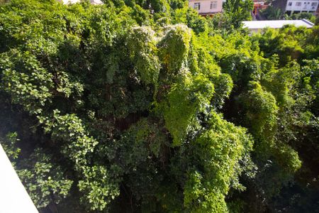 Apartamento à venda com 100m², 3 quartos e 1 vagaVista da Suíte 