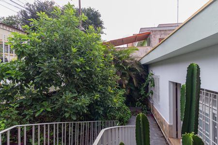 Casa à venda com 141m², 6 quartos e 1 vaga Casa à venda com 141m², 6 quartos e 1 vagaQuintal