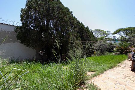 Casa para alugar com 1400m², 6 quartos e 6 vagasQuintal