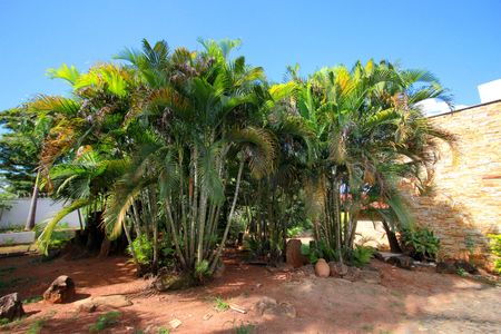 Casa à venda com 800m², 5 quartos e 10 vagasQuintal