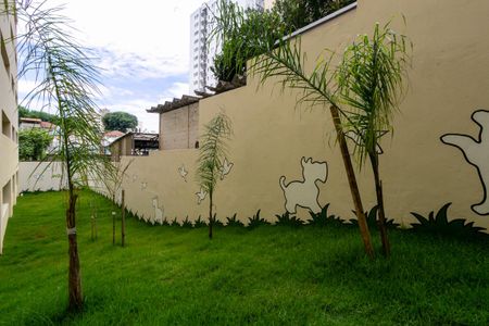 Studio para alugar com 33m², 1 quarto e sem vaga Studio para alugar com 33m², 1 quarto e sem vagaÁrea comum - Espaço pet