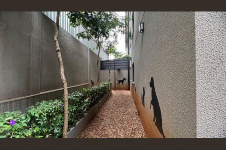 Apartamento para alugar com 47m², 1 quarto e sem vagaPetplace