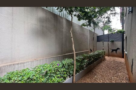 Apartamento para alugar com 47m², 1 quarto e sem vagaPetplace