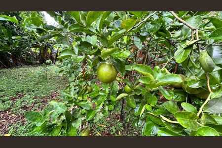 Casa à venda com 1506m², 2 quartos e 3 vagasQuintal