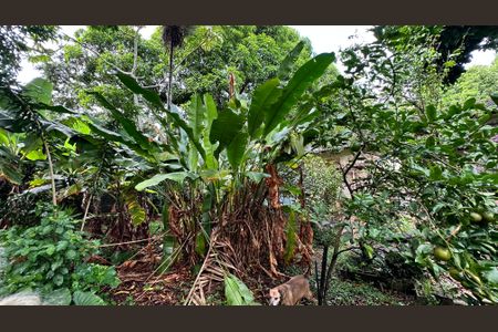 Casa à venda com 1506m², 2 quartos e 3 vagasQuintal