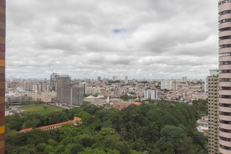 Apartamento à venda com 300m², 3 quartos e 6 vagasVista - Cozinha