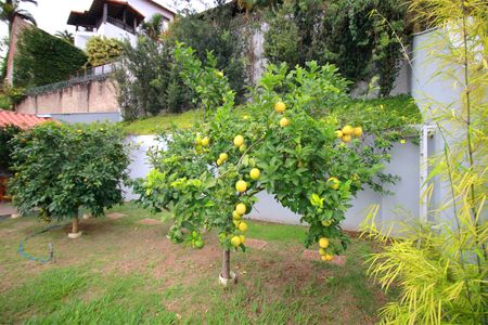 Casa à venda com 221m², 2 quartos e 4 vagasQuintal