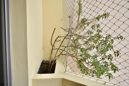 Apartamento para alugar com 80m², 2 quartos e 1 vagaSacada Sala