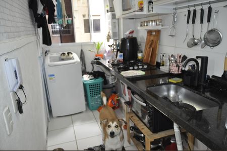 Apartamento para alugar com 50m², 2 quartos e sem vagaCozinha/ Área de serviço