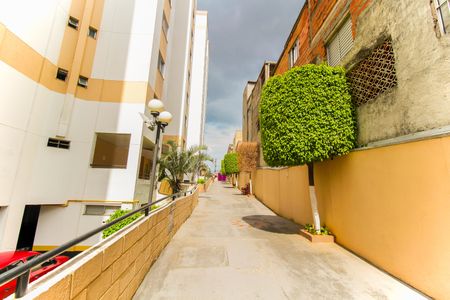 Apartamento à venda com 54m², 3 quartos e 1 vaga Apartamento à venda com 54m², 3 quartos e 1 vagaÁrea comum