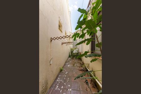 Casa para alugar com 500m², 7 quartos e 2 vagasQuintal