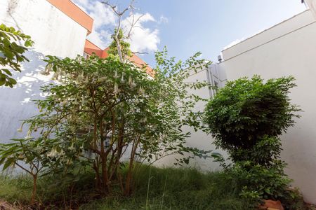 Casa para alugar com 500m², 7 quartos e 2 vagasÁrea comum Quintal