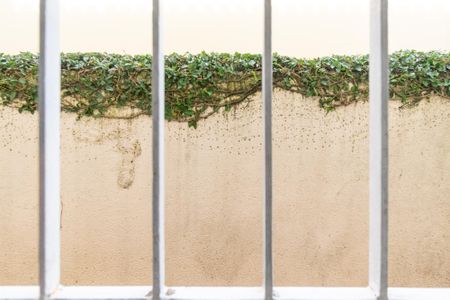 Casa à venda com 150m², 3 quartos e 2 vagas Casa à venda com 150m², 3 quartos e 2 vagasVista da Sala de Jantar