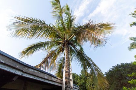 Casa para alugar com 200m², 2 quartos e 2 vagas Casa para alugar com 200m², 2 quartos e 2 vagasÁrea Externa