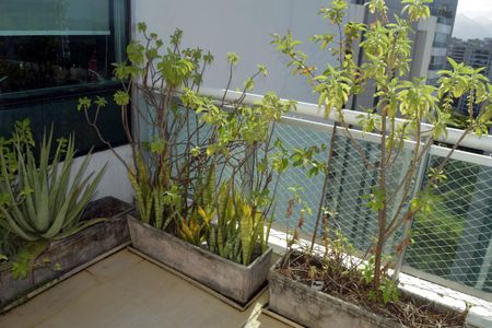 Apartamento à venda com 830m², 4 quartos e 5 vagasÁrea Gourmet