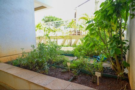 Apartamento à venda com 110m², 3 quartos e 3 vagasÁrea Comum - Horta