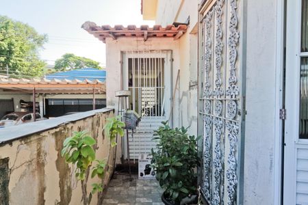 Casa para alugar com 300m², 3 quartos e 3 vagasÁrea de Serviço Vista 