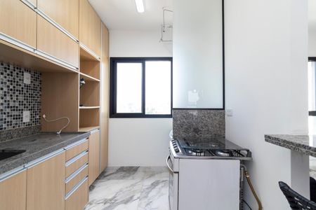 Apartamento para alugar com 33m², 1 quarto e sem vagaCozinha