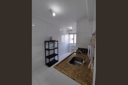 Apartamento para alugar com 45m², 2 quartos e 1 vagaCozinha - Armários