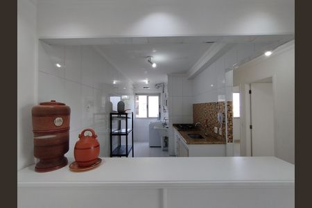 Apartamento para alugar com 45m², 2 quartos e 1 vagaCozinha - Armários