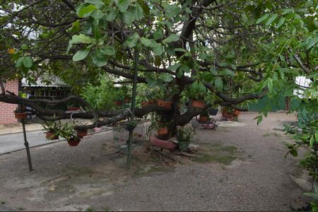 Casa à venda com 310m², 5 quartos e 4 vagasPomar 