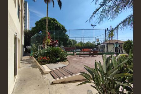 Apartamento para alugar com 51m², 2 quartos e 1 vaga Apartamento para alugar com 51m², 2 quartos e 1 vagaQuadra Esportiva